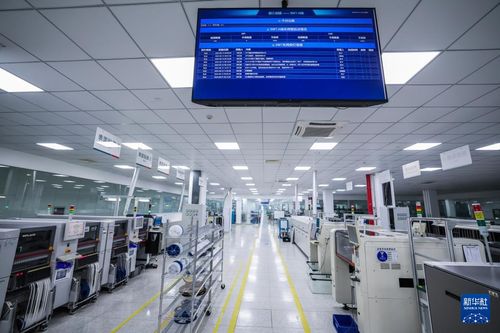 浙江金华 以“智改数转”为引擎，驱动企业高质量发展